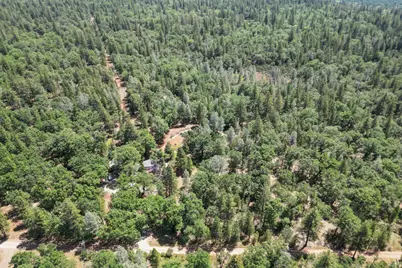 10707 Hufford Ranch Road, Whitmore, CA 96096 - Photo 6