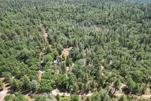 10707 Hufford Ranch Rd, Whitmore, CA 96096 - Photo 6