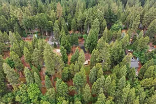 6775 Ridgeway Dr, Pollock Pines, CA 95726 - Photo 48