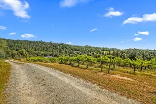 8221 Stoney Creek Rd, Somerset, CA 95684 - Photo 42