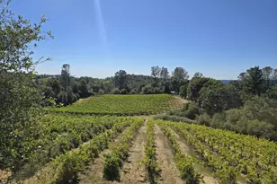 8221 Stoney Creek Rd, Somerset, CA 95684 - Photo 34