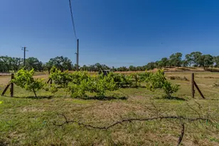 5726 Pettinger Rd, Valley Springs, CA 95252 - Photo 46