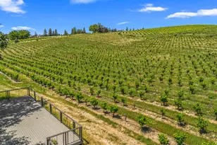 7401 Fairplay Rd, Somerset, CA 95684 - Photo 4