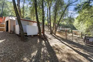 14036 Hilltop Rd, Pine Grove, CA 95665 - Photo 38