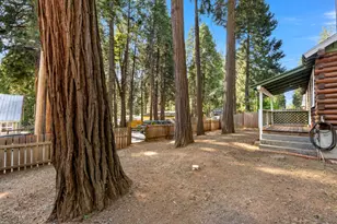 2877 Polaris, Pollock Pines, CA 95726 - Photo 4