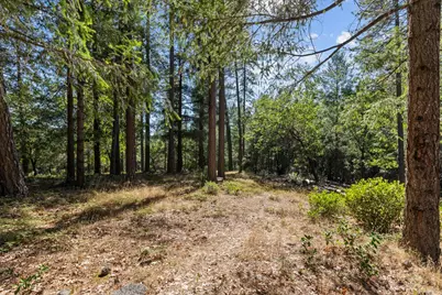 22090 Alton Trail, Foresthill, CA 95631 - Photo 4