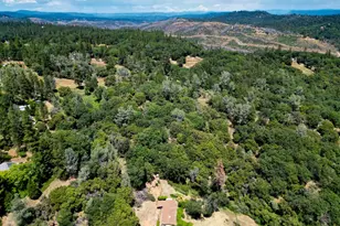 19953 Bear Ridge, Grass Valley, CA 95949 - Photo 84