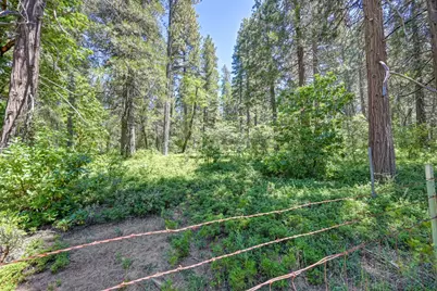 10650 Pine Hill Drive, Grass Valley, CA 95945 - Photo 36