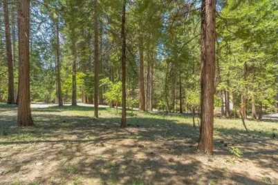 1621 Rawhide Drive, Arnold, CA 95223 - Photo 1