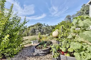 8900 Center St, Mokelumne Hill, CA 95245 - Photo 18