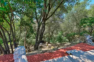 3596 Cedar Ravine Rd, Placerville, CA 95667 - Photo 22