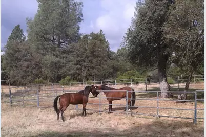 [Address not provided], Georgetown, CA 95634 - Photo 4