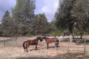 [Address not provided], Georgetown, CA 95634 - Photo 4