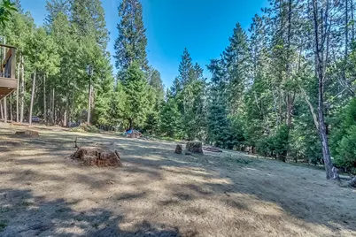 16795 Barton Court, Pioneer, CA 95666 - Photo 38