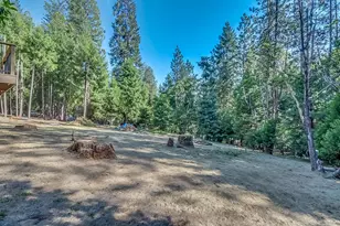 16795 Barton Ct, Pioneer, CA 95666 - Photo 38