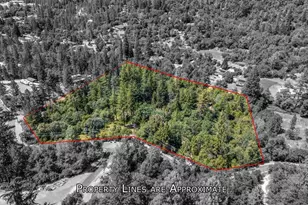 3580 Sluice Box Rd, Placerville, CA 95667 - Photo 42