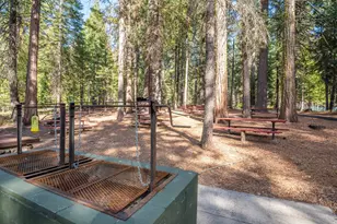 3790 Apache Rd, Dorrington, CA 95223 - Photo 38