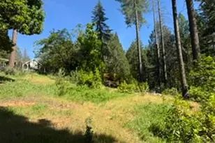 6433 Peg Leg Mine Rd, Georgetown, CA 95634 - Photo 4