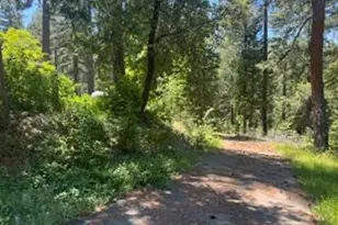 6433 Peg Leg Mine Rd, Georgetown, CA 95634 - Photo 6