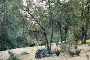 22499 Vilas Ln, Sonora, CA 95370 - Photo 74