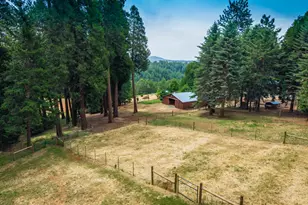 29070 Ridge View Rd, Foresthill, CA 95631 - Photo 4