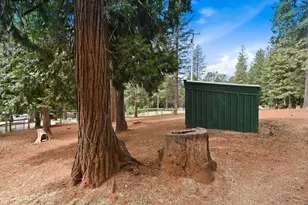 29070 Ridge View Rd, Foresthill, CA 95631 - Photo 42