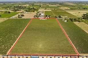 15661 Curry Ave, Lodi, CA 95240 - Photo 56