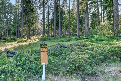 453 Blackbird Lane, Avery, CA 95224 - Photo 58