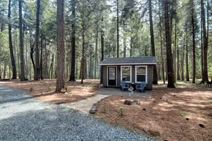 332 Coyote Ct, Georgetown, CA 95634 - Photo 60