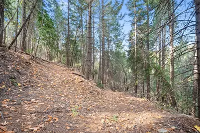 0 Starkes Grade Road, Pollock Pines, CA 95726 - Photo 18