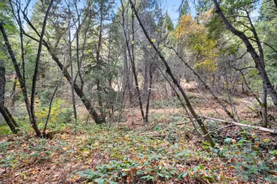 0 Starkes Grade Road, Pollock Pines, CA 95726 - Photo 20