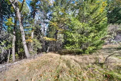 0 Starkes Grade Road, Pollock Pines, CA 95726 - Photo 18