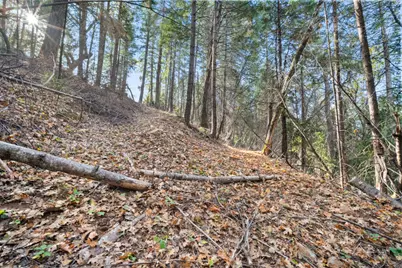 0 Starkes Grade Road, Pollock Pines, CA 95726 - Photo 22