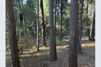 Pony Express Trail #37, Pollock Pines, CA 95726 - Photo 20