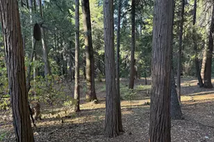 Pony Express Trail, Pollock Pines, CA 95726 - Photo 20