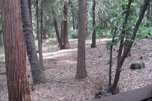 Pony Express Trail, Pollock Pines, CA 95726 - Photo 28