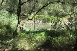 2563 Woodhouse Mine Rd, West Point, CA 95255 - Photo 26