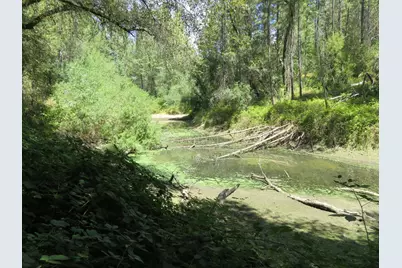 2563 Woodhouse Mine Road, West Point, CA 95255 - Photo 22