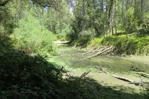 2563 Woodhouse Mine Rd, West Point, CA 95255 - Photo 22