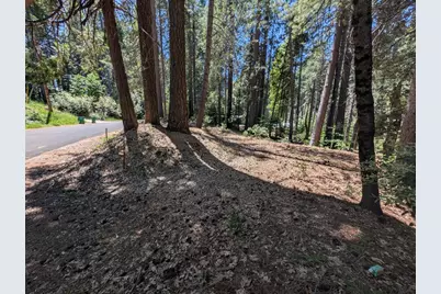 16819 Pasquale Road, Nevada City, CA 95959 - Photo 2