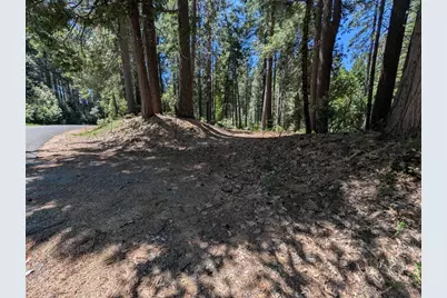 16819 Pasquale Road, Nevada City, CA 95959 - Photo 4