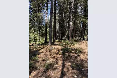 16819 Pasquale Road, Nevada City, CA 95959 - Photo 10