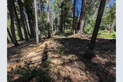 16819 Pasquale Road, Nevada City, CA 95959 - Photo 8