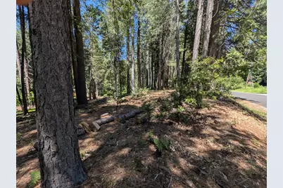16819 Pasquale Road, Nevada City, CA 95959 - Photo 6