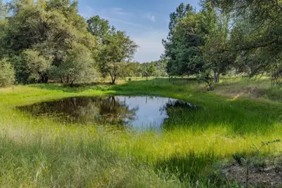 6216 Trout Lane, Mountain Ranch, CA 95246 - Photo 4