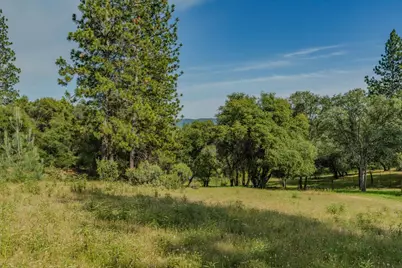 6216 Trout Lane, Mountain Ranch, CA 95246 - Photo 12