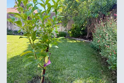 879 Wallace Drive, Woodland, CA 95776 - Photo 40
