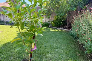 879 Wallace Dr, Woodland, CA 95776 - Photo 40