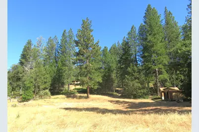 4426 Bald Mountain Road, West Point, CA 95255 - Photo 6