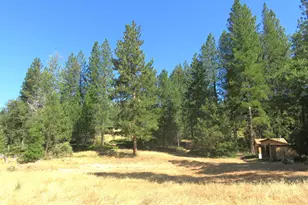 4426 Bald Mountain Rd, West Point, CA 95255 - Photo 6